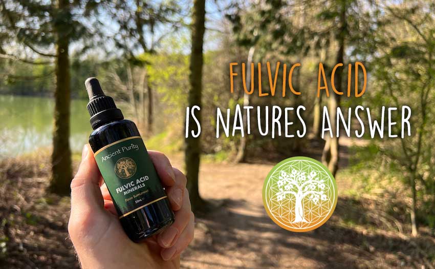 Fulvic Acid Minerals - 50ml