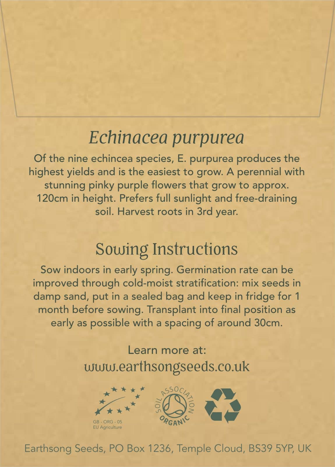 Echinacea Purpurea: Seed Pack - Organic