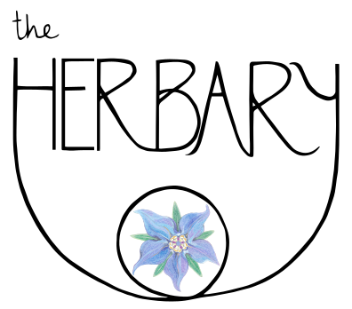 The Herbary
