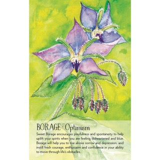 Soulflower Plant Spirit Oracle Cards - Lisa Estabrook