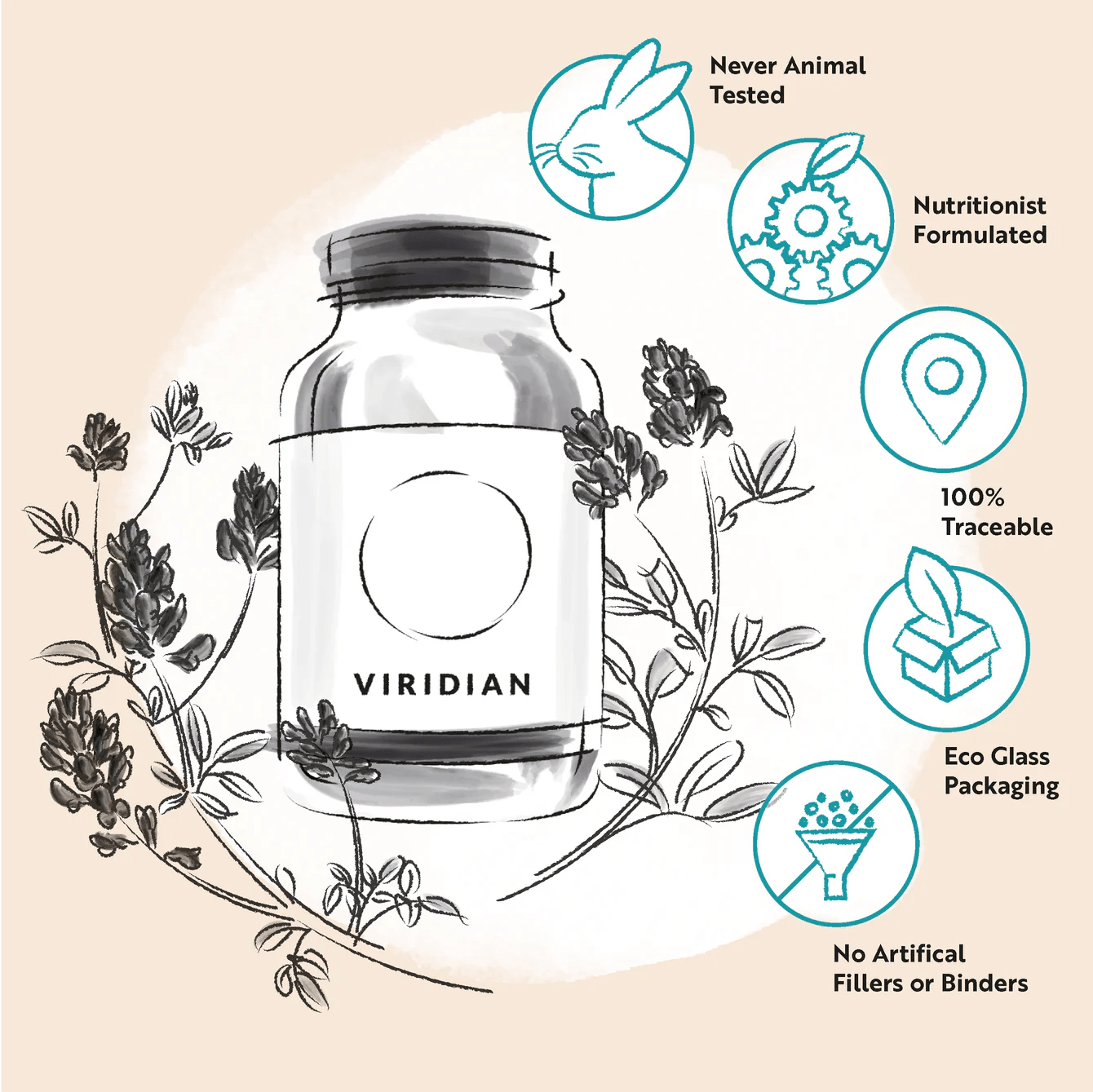 Calcium Magnesium Zinc Powder - The Herbary