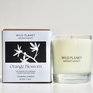 Orange Blossom Candle - The Herbary