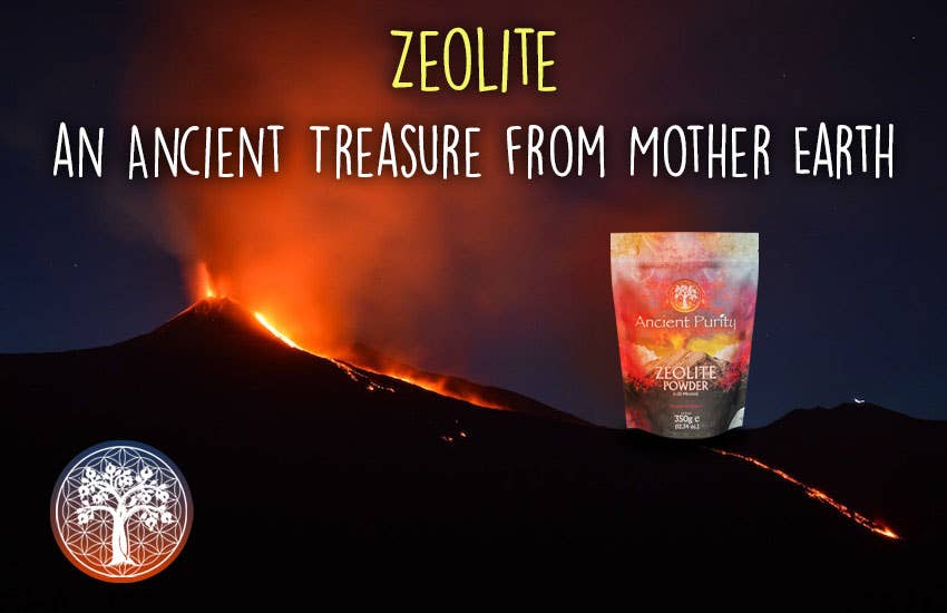 Zeolite Powder - 350g (< 25 Microns) HM Detox Cleanse
