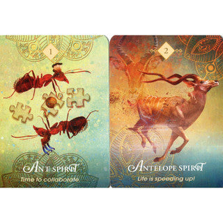 The Spirit Animal Oracle (Pocket Size) - Colette Baron-Reid