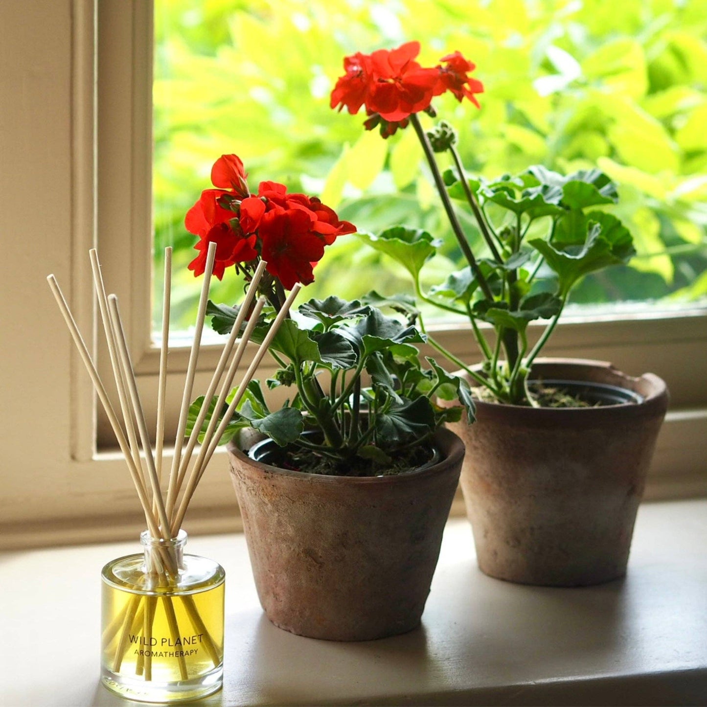 Midsummer Reed Diffuser