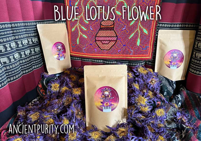 Blue Lotus Flower - 20g | Sri Lanka | Whole Flowers | Tea