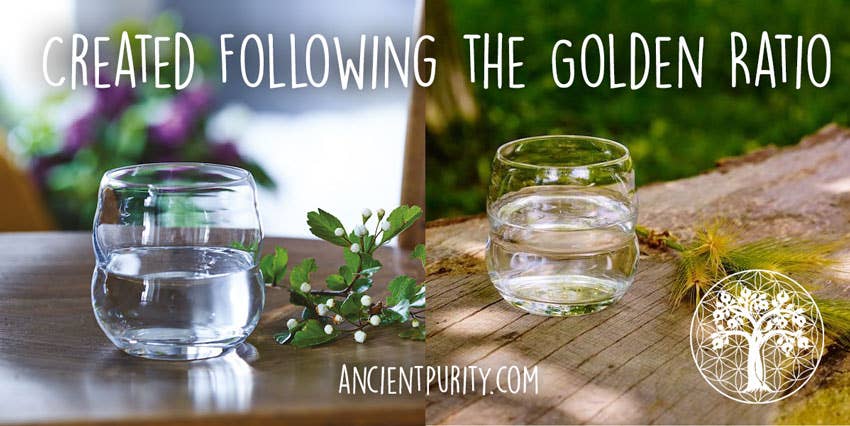 Sacred Geometry Glass 250ml | 24 Carat Gold Flower of Life  