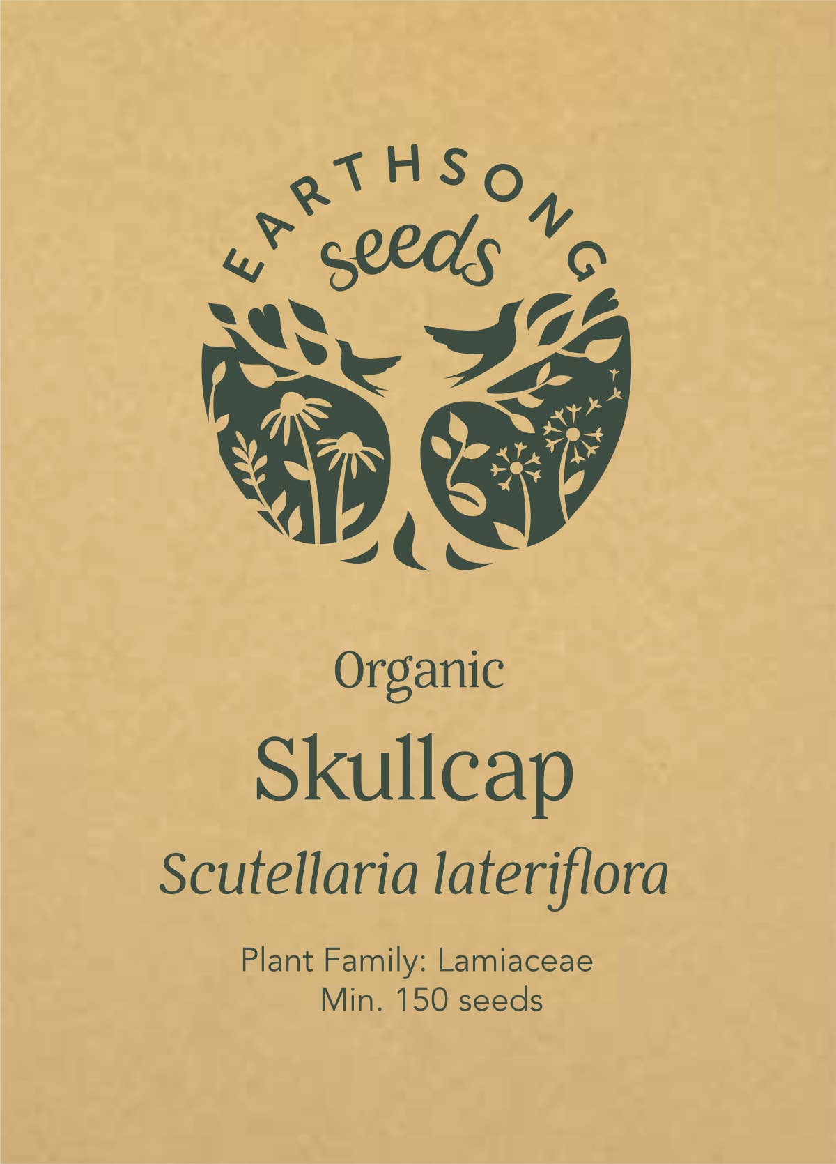 Skullcap: Seed Pack - Organic