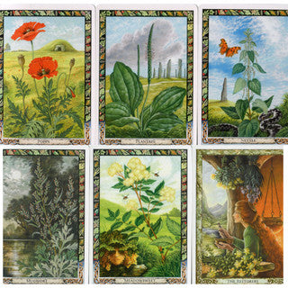 The Druid Plant Oracle - Philip & Stephanie Carr-Gomm