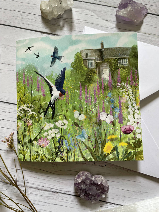 Swallows 