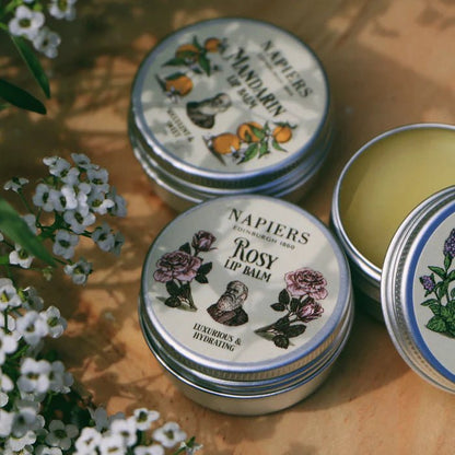 Napiers Mandarin Lip Balm - The Herbary